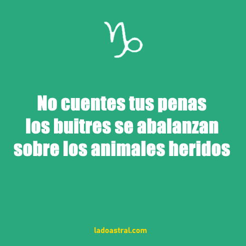 frase de capricornio