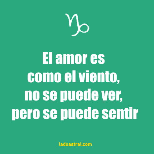 frase de capricornio