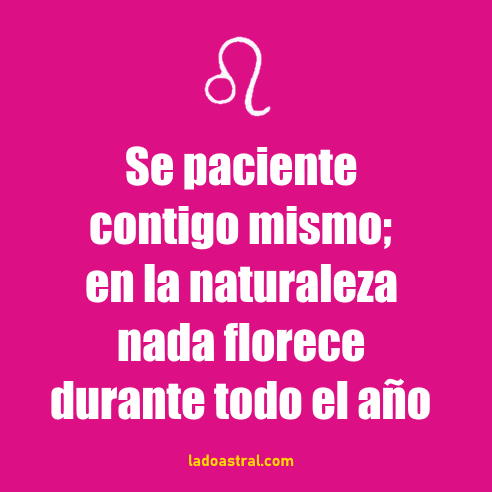 frase de leo